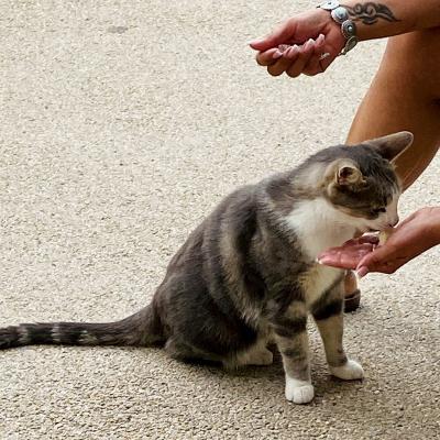 20230808 075840000 ios